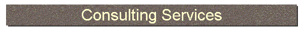 Consulting Services